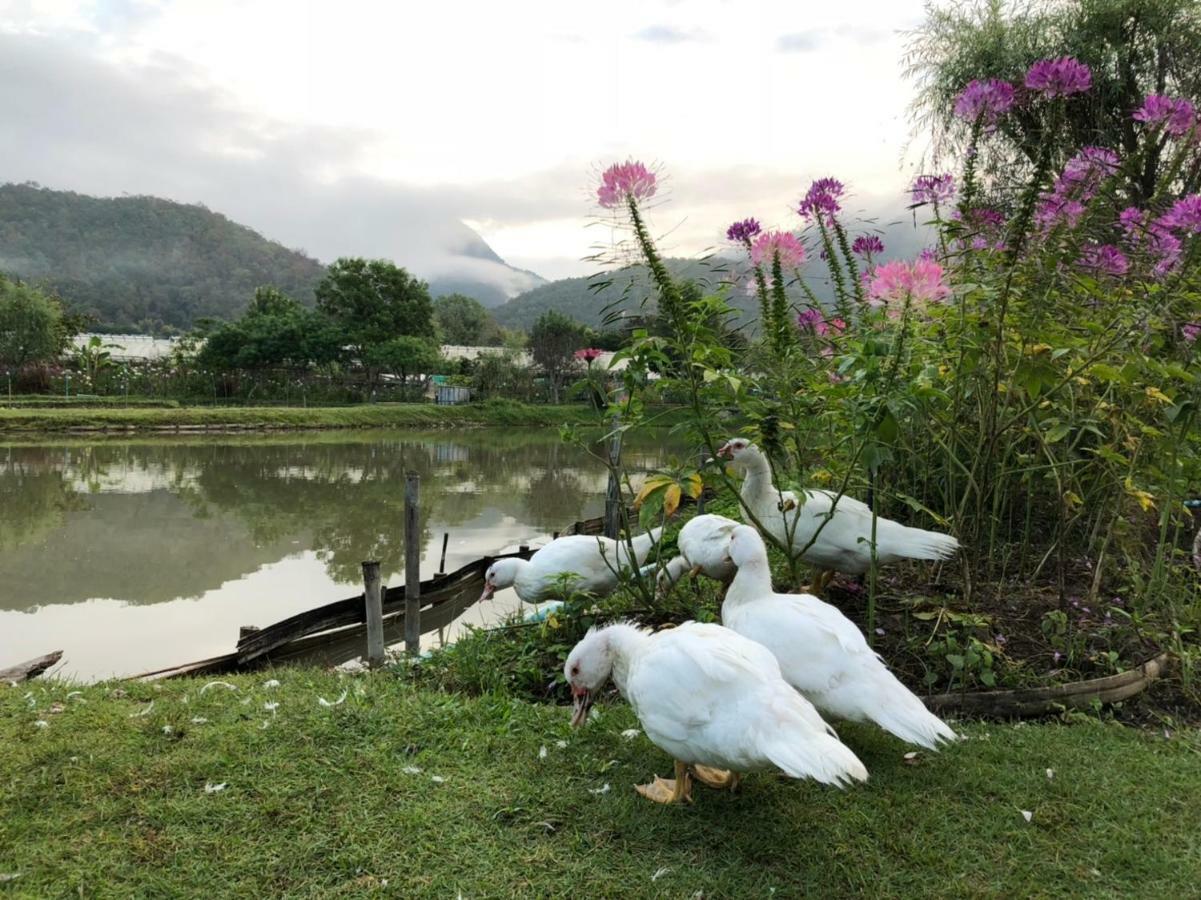 Luxury Farm House Pai Esterno foto